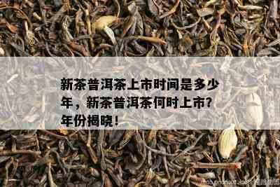 新茶普洱茶上市时间是多少年，新茶普洱茶何时上市？年份揭晓！