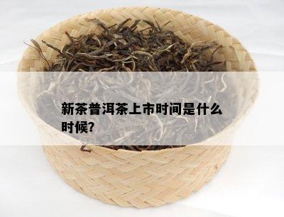 新茶普洱茶上市时间是什么时候？