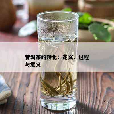 普洱茶的转化：定义、过程与意义