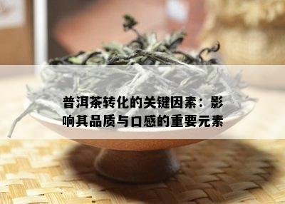 普洱茶转化的关键因素：影响其品质与口感的重要元素