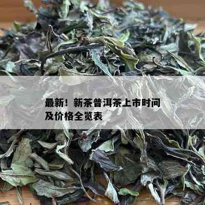 最新！新茶普洱茶上市时间及价格全览表