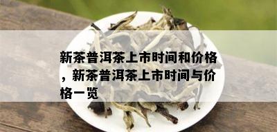 新茶普洱茶上市时间和价格，新茶普洱茶上市时间与价格一览