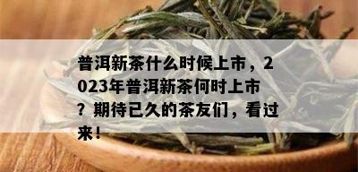 普洱新茶什么时候上市，2023年普洱新茶何时上市？期待已久的茶友们，看过来！