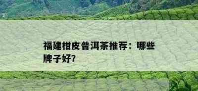 福建柑皮普洱茶推荐：哪些牌子好？