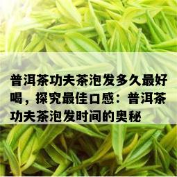 普洱茶功夫茶泡发多久更好喝，探究更佳口感：普洱茶功夫茶泡发时间的奥秘