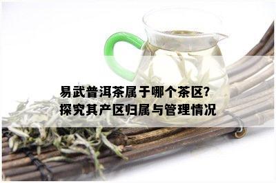 易武普洱茶属于哪个茶区？探究其产区归属与管理情况