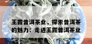 王霞普洱茶业，探索普洱茶的魅力：走进王霞普洱茶业