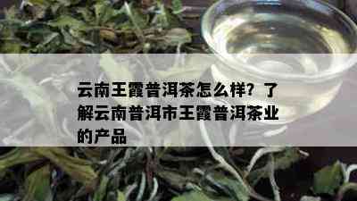 云南王霞普洱茶怎么样？了解云南普洱市王霞普洱茶业的产品