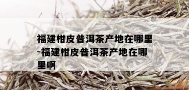 福建柑皮普洱茶产地在哪里-福建柑皮普洱茶产地在哪里啊