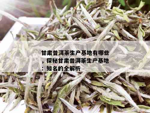 甘肃普洱茶生产基地有哪些，探秘甘肃普洱茶生产基地：知名的全解析