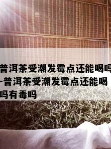 普洱茶受潮发霉点还能喝吗-普洱茶受潮发霉点还能喝吗有吗