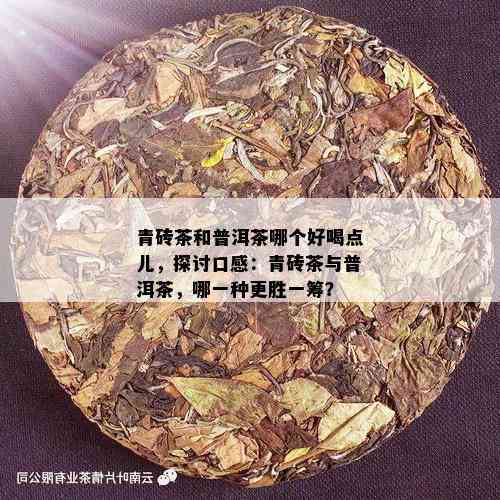 青砖茶和普洱茶哪个好喝点儿，探讨口感：青砖茶与普洱茶，哪一种更胜一筹？