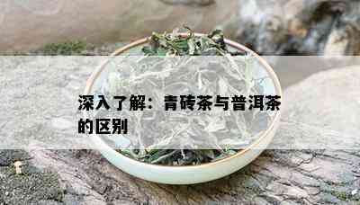 深入了解：青砖茶与普洱茶的区别