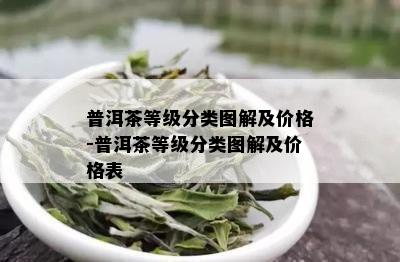 普洱茶等级分类图解及价格-普洱茶等级分类图解及价格表