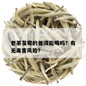 老茶发霉的普洱能喝吗？有无害风险？