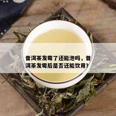 普洱茶发霉了还能泡吗，普洱茶发霉后是否还能饮用？