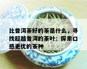 比普洱茶好的茶是什么，寻找超越普洱的茶叶：探索口感更优的茶种