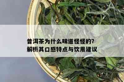 普洱茶为什么味道怪怪的？解析其口感特点与饮用建议