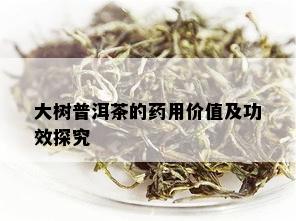 大树普洱茶的药用价值及功效探究