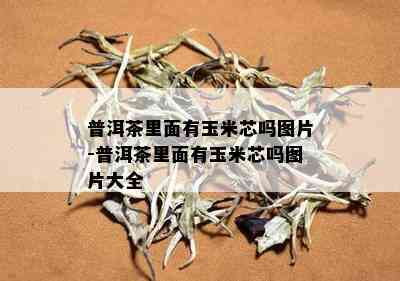 普洱茶里面有玉米芯吗图片-普洱茶里面有玉米芯吗图片大全