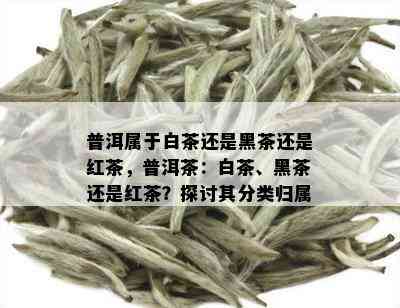 普洱属于白茶还是黑茶还是红茶，普洱茶：白茶、黑茶还是红茶？探讨其分类归属