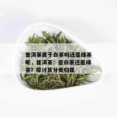 普洱茶属于白茶吗还是绿茶呢，普洱茶：是白茶还是绿茶？探讨其分类归属