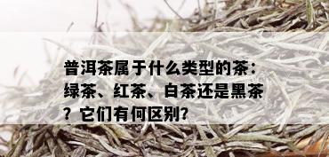 普洱茶属于什么类型的茶：绿茶、红茶、白茶还是黑茶？它们有何区别？