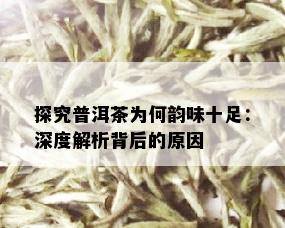 探究普洱茶为何韵味十足：深度解析背后的原因