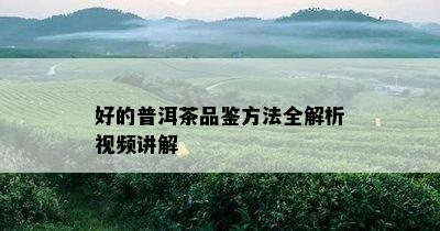 好的普洱茶品鉴方法全解析视频讲解