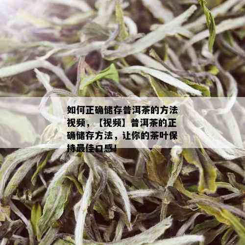 如何正确储存普洱茶的方法视频，【视频】普洱茶的正确储存方法，让你的茶叶保持更佳口感！