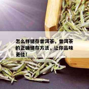 怎么样储存普洱茶，普洱茶的正确储存方法，让你品味更佳！