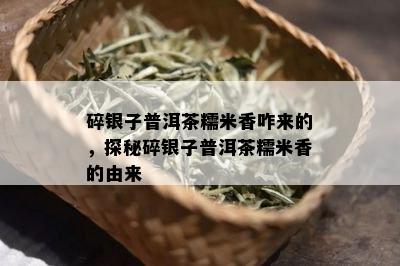 碎银子普洱茶糯米香咋来的，探秘碎银子普洱茶糯米香的由来