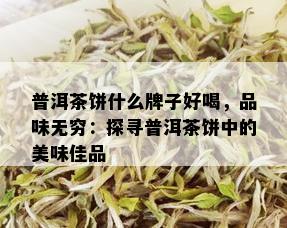 普洱茶饼什么牌子好喝，品味无穷：探寻普洱茶饼中的美味佳品