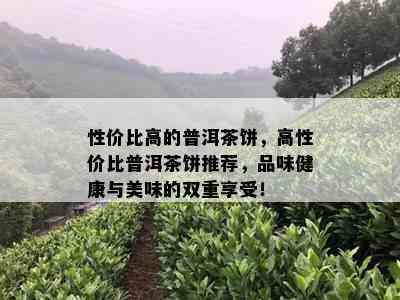 性价比高的普洱茶饼，高性价比普洱茶饼推荐，品味健康与美味的双重享受！