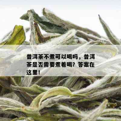 普洱茶不煮可以喝吗，普洱茶是否需要煮着喝？答案在这里！