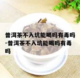 普洱茶不入坑能喝吗有吗-普洱茶不入坑能喝吗有吗