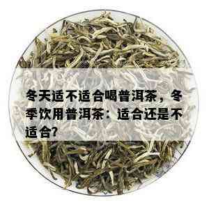 冬天适不适合喝普洱茶，冬季饮用普洱茶：适合还是不适合？