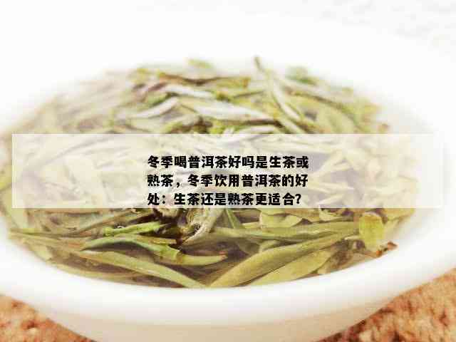 冬季喝普洱茶好吗是生茶或熟茶，冬季饮用普洱茶的好处：生茶还是熟茶更适合？