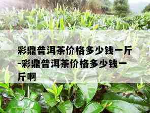 彩鼎普洱茶价格多少钱一斤-彩鼎普洱茶价格多少钱一斤啊