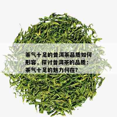 茶气十足的普洱茶品质如何形容，探讨普洱茶的品质：茶气十足的魅力何在？