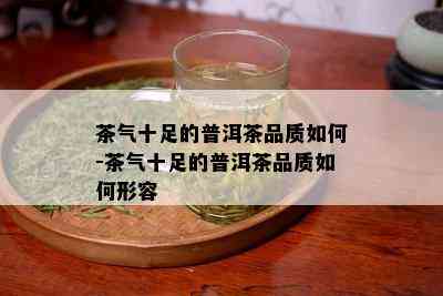 茶气十足的普洱茶品质如何-茶气十足的普洱茶品质如何形容