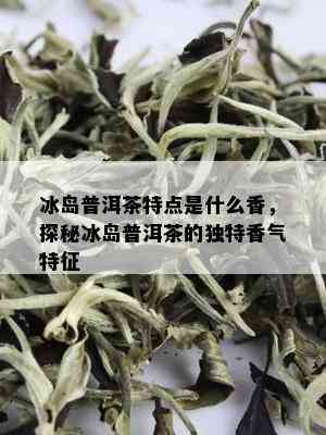 冰岛普洱茶特点是什么香，探秘冰岛普洱茶的独特香气特征