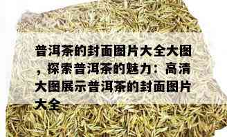 普洱茶的封面图片大全大图，探索普洱茶的魅力：高清大图展示普洱茶的封面图片大全