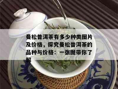 曼松普洱茶有多少种类图片及价格，探究曼松普洱茶的品种与价格：一张图带你了解