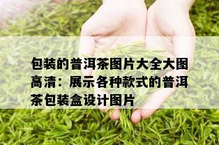 包装的普洱茶图片大全大图高清：展示各种款式的普洱茶包装盒设计图片