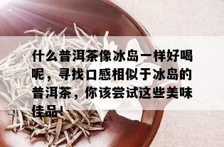 什么普洱茶像冰岛一样好喝呢，寻找口感相似于冰岛的普洱茶，你该尝试这些美味佳品！