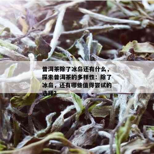 普洱茶除了冰岛还有什么，探索普洱茶的多样性：除了冰岛，还有哪些值得尝试的选择？