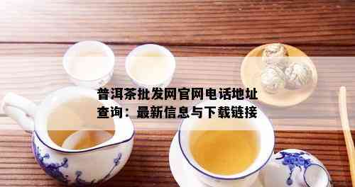 普洱茶批发网官网电话地址查询：最新信息与下载链接