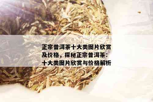 正宗普洱茶十大类图片欣赏及价格，探秘正宗普洱茶：十大类图片欣赏与价格解析