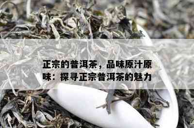 正宗的普洱茶，品味原汁原味：探寻正宗普洱茶的魅力